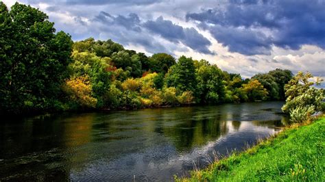 River Running Through Lush Green Forest Wallpaper