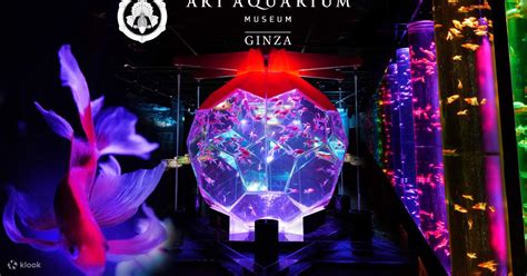 Tiket Masuk Art Aquarium Museum GINZA - Klook Indonesia