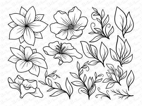 Flower Line Art Graphic by PurMoon · Creative Fabrica