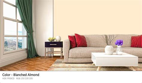 About Blanched Almond - Color codes, similar colors and paints - colorxs.com