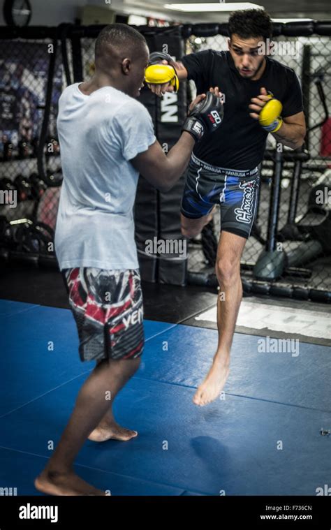 MMA fighter training Stock Photo - Alamy