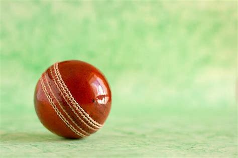 Leather Cork Ball For Cricket Use at Best Price in Ghaziabad | Majestic Rubber Industries