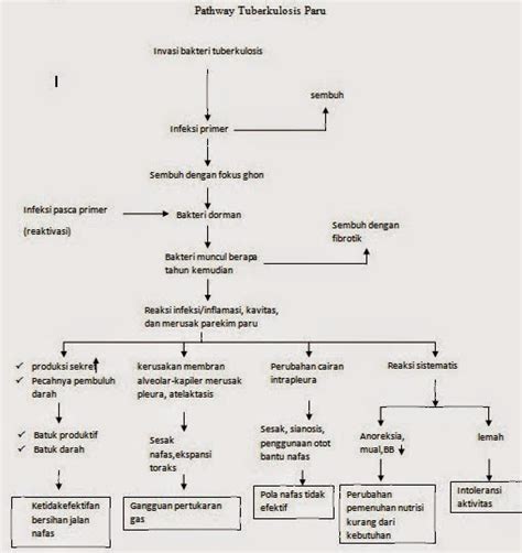 Anemia akibat perdarahan pdf - lasopayahoo