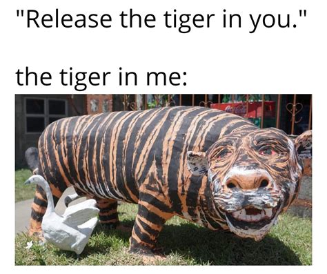 High of the tiger : r/memes