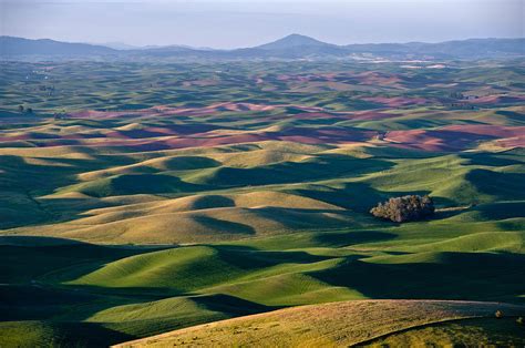 Wheat Fields Of Palouse Photograph by Lee Chon