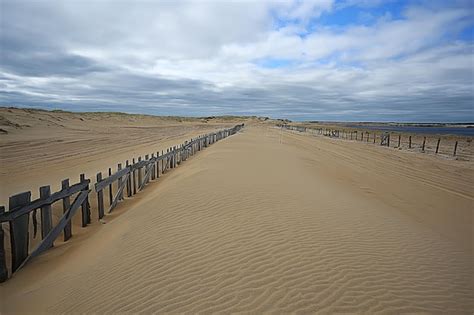 Premium Photo | Desertification, climate change concept, global warming / desert landscape