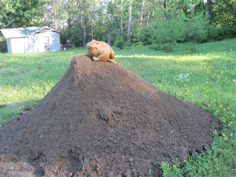 Free photo: Pile of Dirt - Brown, Dirt, Earth - Free Download - Jooinn