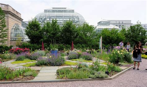 National Botanic Garden, Washington, DC | Favorite places, Capitol washington, Washington dc