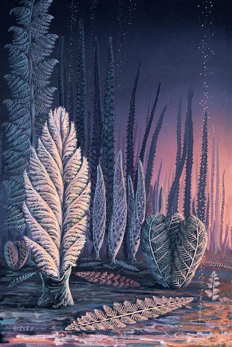 Pre-cambrian Life Forms Photograph by Richard Bizley