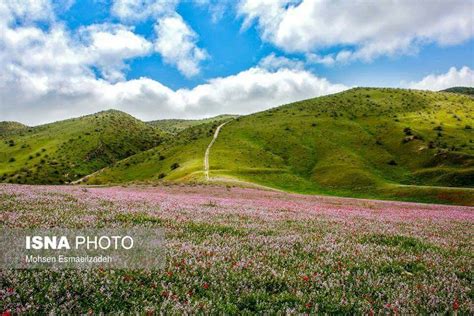 Mashhad, Iran | Nature, Travel, Natural landmarks