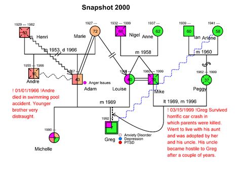 Genogram Timeline Snapshots - Genogram Analytics