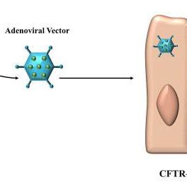 Ongoing projects on overexpression of CFTR gene in deficient gene | Download Scientific Diagram