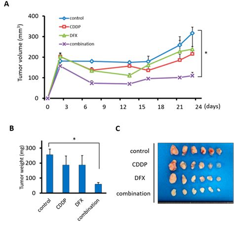 Figure 6 from A Novel Combination Cancer Therapy with Iron Chelator Targeting Cancer Stem Cells ...