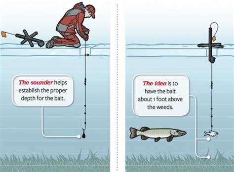 Ice Fishing: Tactics for a Better Tip-Up | Ice fishing tips, Ice fishing, Fishing tips