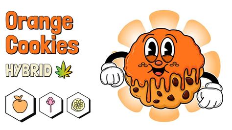 Orange Cookies Strain Review - Rolling Paper