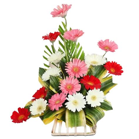 Gerberas to India : Gerbera Delivery in India Same Day - Free