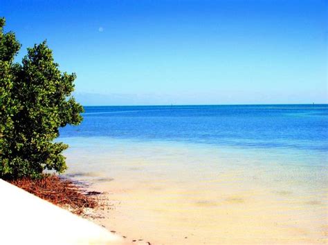 Gem of a beach, with added creature comforts, Anne's Beach, Islamorada - Anne's Beach ...