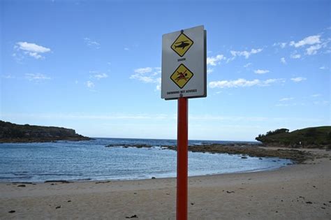 Shark attack near Sydney leads to rare death, police say - The ...