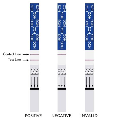 PREGMATE 20 Ovulation (LH) and 5 Pregnancy (HCG) Test Strips Predictor ...