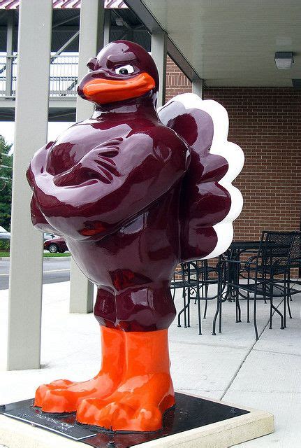 24 Best Hokie Bird Statues Blacksburg ideas | hokie bird, bird statues ...