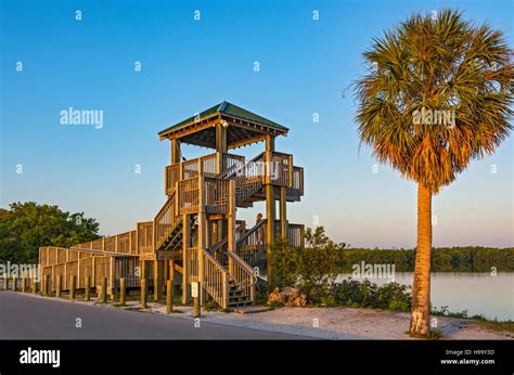 Florida, Sanibel Island, J.N. "Ding" Darling National Wildlife Refuge, Wildlife Drive ...