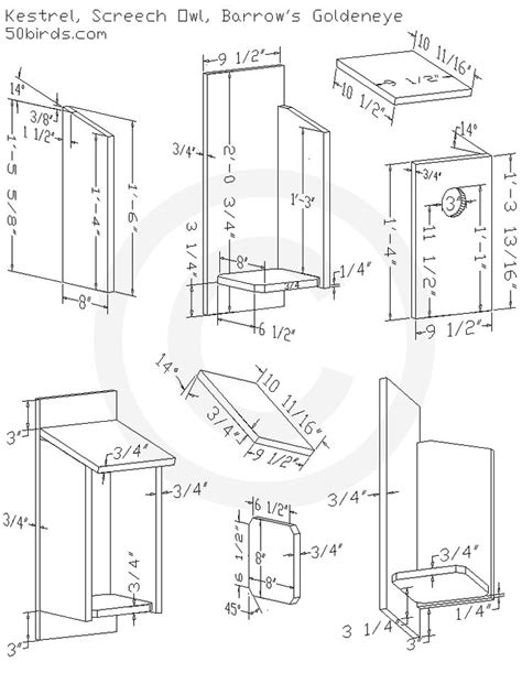 Nest Box Plans for Screech Owl, Kestrel, Barrow's Goldeneye | Bird houses, Bird house plans, Owl ...