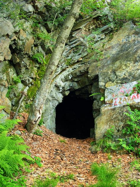 a tunnel in the side of a mountain with graffiti on it's walls and trees