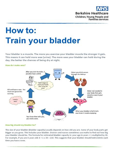 How To Train Your Bladder Oct 21 | PDF | Drink