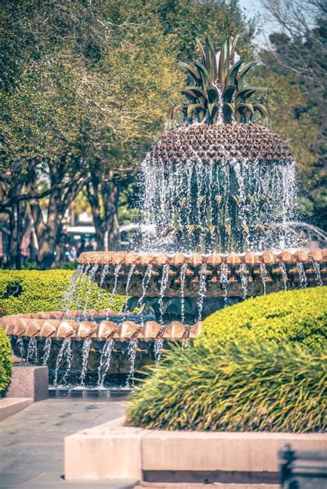 The Pineapple Fountain, at the Waterfront Park in Charleston, so Stock ...