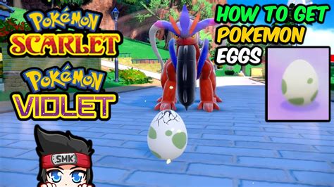 How to Get Pokemon Eggs in Pokemon Scarlet and Violet - YouTube