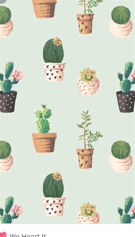 Update more than 82 aesthetic cactus wallpaper - in.coedo.com.vn