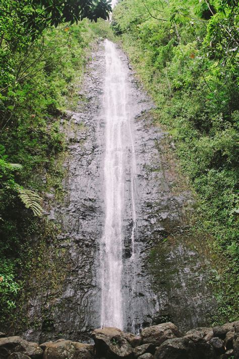 manoa falls & musubi | honolulu, hawaii - Plays Well With Butter