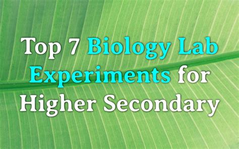 Common biology experiments for class 11 12 practicals | Labkafe