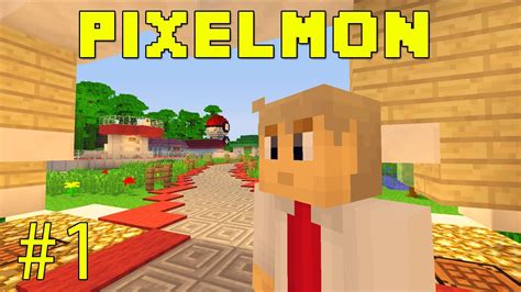 Pixelmon - Learning The Basics - Part 1 - YouTube