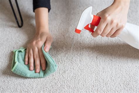 How to Clean and Deodorize Carpet With Baking Soda