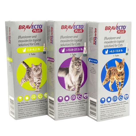 Bravecto Plus for Cats | Koala Health