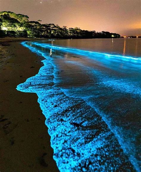 Vacations - Travel on Instagram: “This unusual natural phenomenon is called Bioluminescence ...