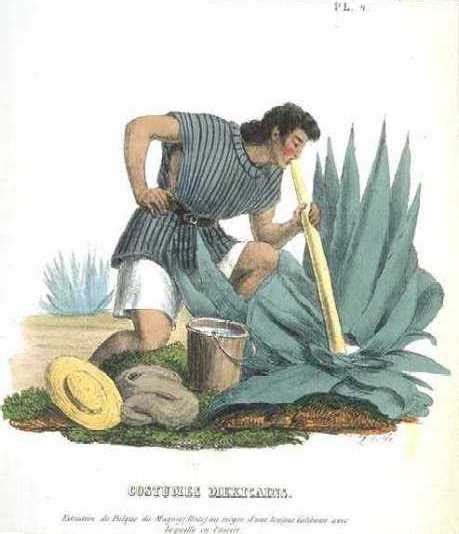 In Search of the Blue Agave: Pulque