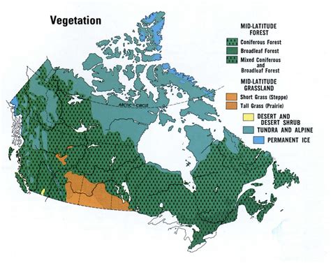 Vegetation of Canada