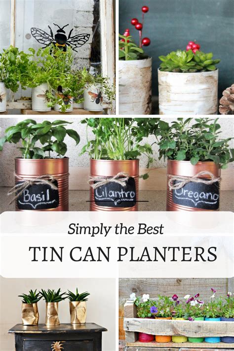 Five of the Best Tin Can Planters You Will Want To Make - Pillar Box Blue