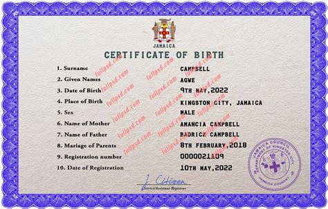 download Jamaica Birth certificate PSD Template fully editable - FULLPSD