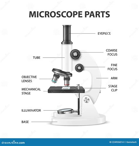 Microscope Parts. Vector 3d Realistic White Laboratory Microscope Isolated on White. Chemistry ...