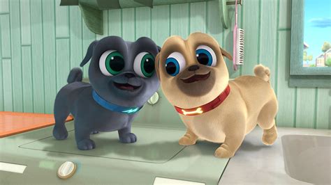 Puppy Dog Pals: Going on a Mission | Blu-ray/DVD Reviews | Popzara Press