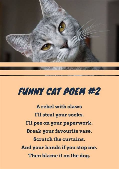 16+ Cat Poems For Kids To Read 🐈 | Imagine Forest | Cat poems, Warrior cats books, Warrior cats ...