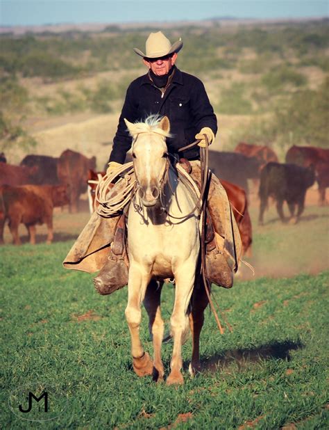 Pin by Ramiro Alvidrez on Texas Cowboys -Tongue River Ranch | Rodeo ...