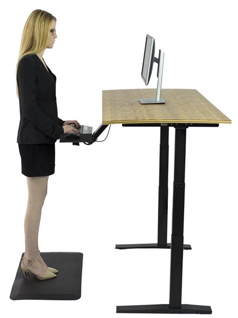 RISE UP Dual Motor Adjustable Height Electric Standing Desk 48x30 ...