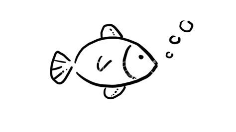 √ Coloring Cartoon Fish Drawing Easy | Fischlexikon