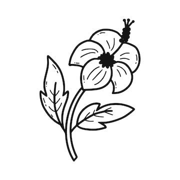 Premium Vector | Hibiscus Vector doodle illustration Traditional Korean flower National symbol ...