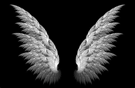 Wings Wallpapers - Wallpaper Cave