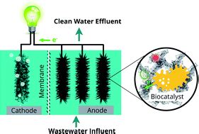 Simultaneous wastewater treatment and energy harvesting in microbial fuel cells: an update on ...